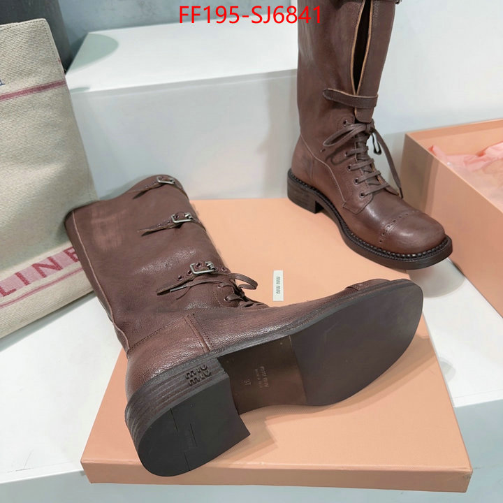 Women Shoes-Boots wholesale replica shop ID: SJ6841 $: 195USD