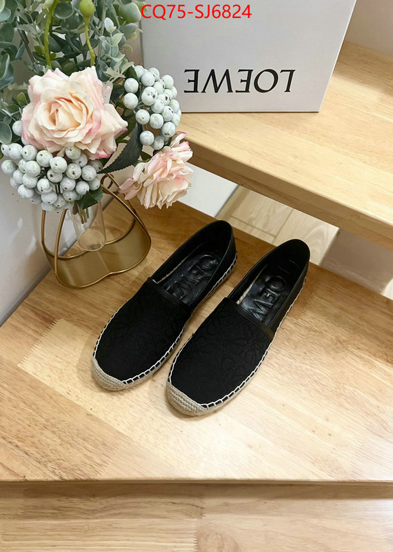 Women Shoes-Loewe best like ID: SJ6824 $: 75USD