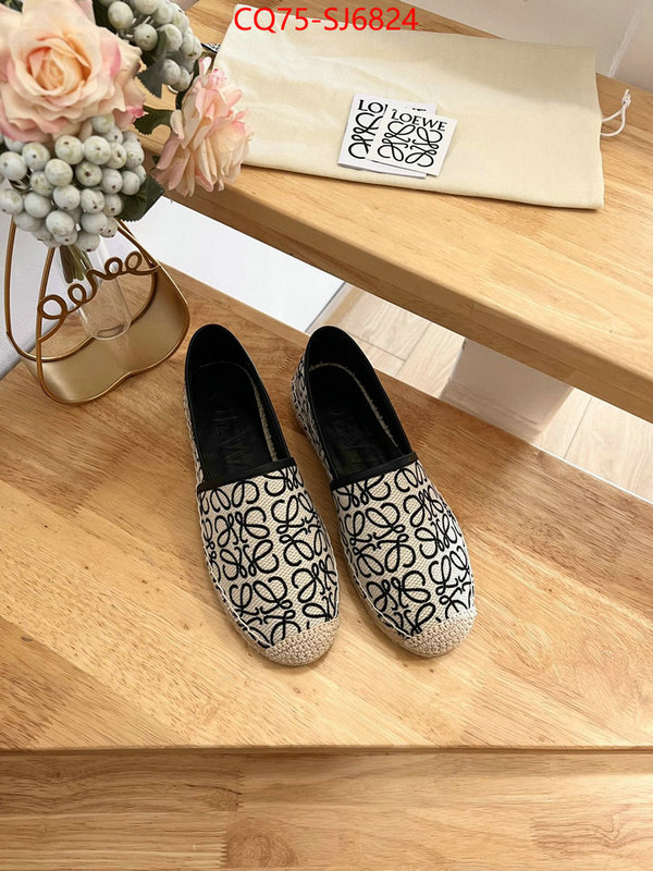 Women Shoes-Loewe best like ID: SJ6824 $: 75USD