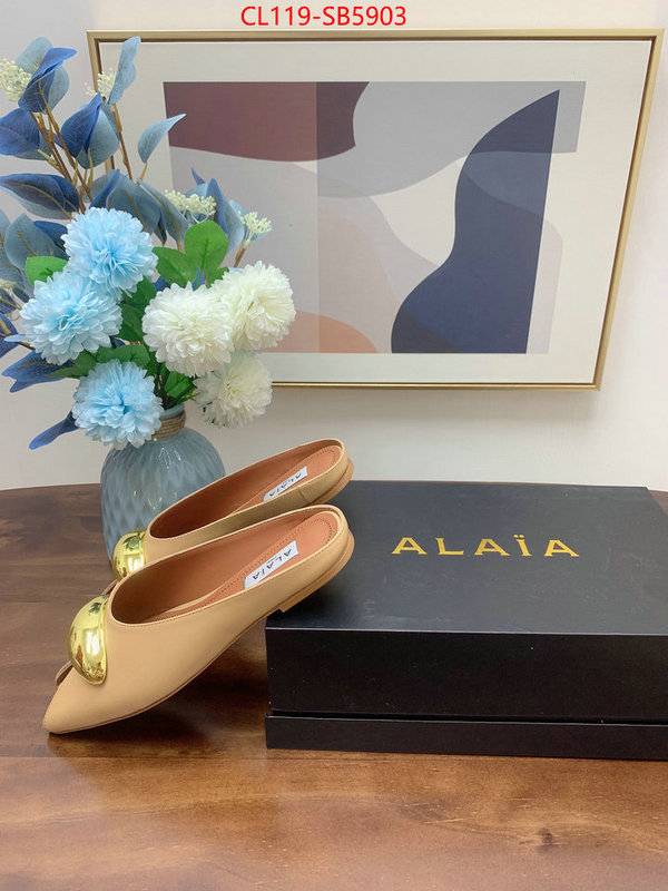 Women Shoes-ALAIA knockoff highest quality ID: SB5903 $: 119USD