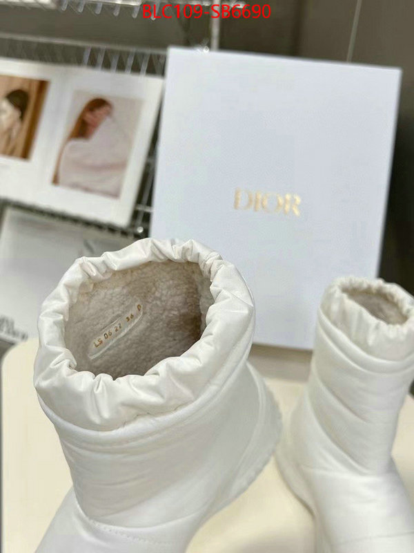 Women Shoes-Dior best site for replica ID: SB6690 $: 109USD