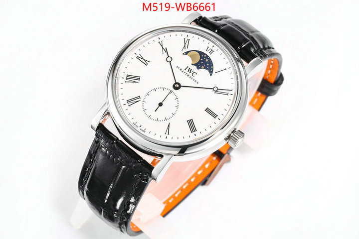 Watch(TOP)-IWC from china ID: WB6661 $: 519USD