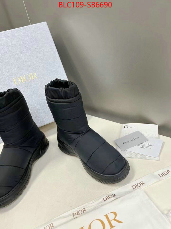 Women Shoes-Dior best site for replica ID: SB6690 $: 109USD