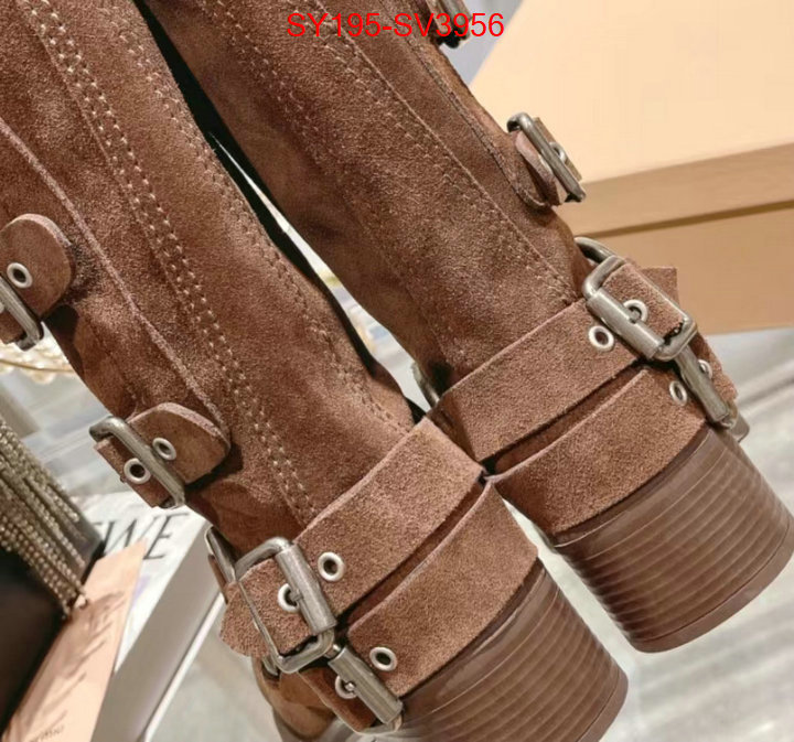 Women Shoes-Boots mirror quality ID: SV3956 $: 195USD