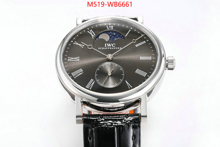 Watch(TOP)-IWC from china ID: WB6661 $: 519USD