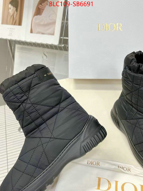 Women Shoes-Dior replica aaaaa designer ID: SB6691 $: 109USD