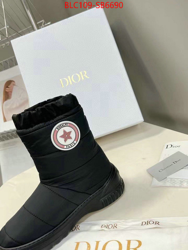 Women Shoes-Dior best site for replica ID: SB6690 $: 109USD