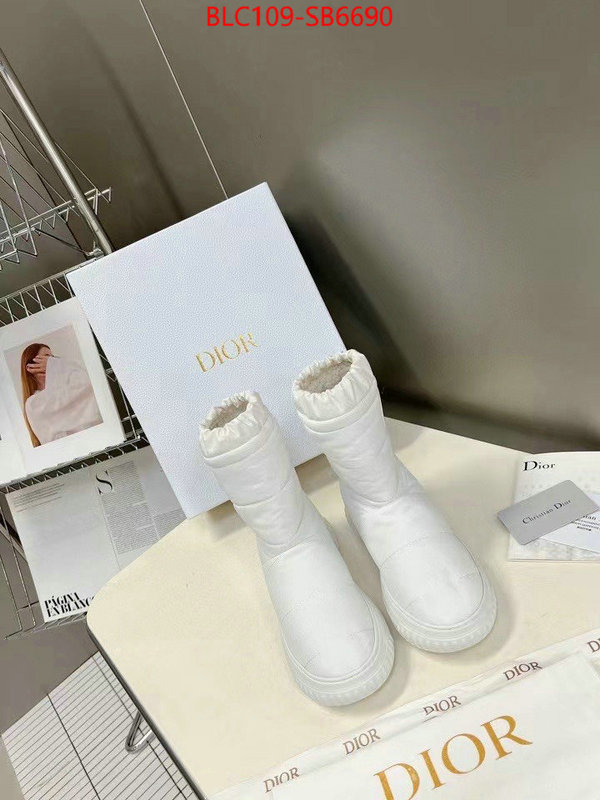 Women Shoes-Dior best site for replica ID: SB6690 $: 109USD