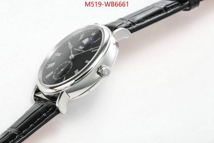 Watch(TOP)-IWC from china ID: WB6661 $: 519USD