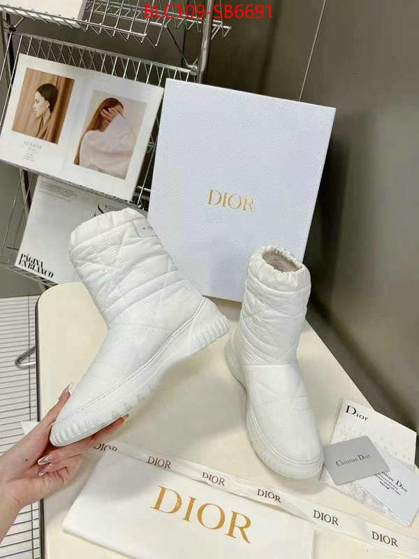 Women Shoes-Dior replica aaaaa designer ID: SB6691 $: 109USD