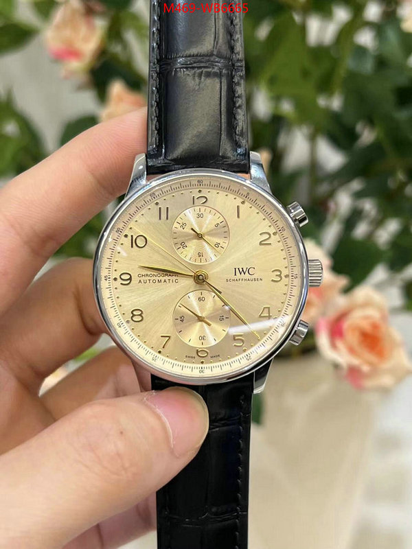 Watch(TOP)-IWC highest quality replica ID: WB6665 $: 469USD