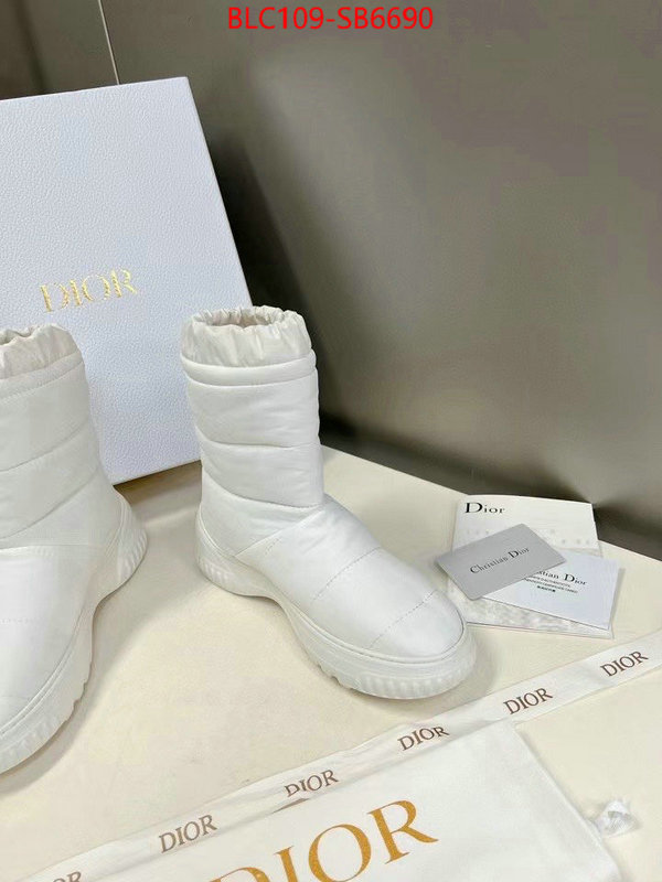 Women Shoes-Boots high quality replica ID: SB6690 $: 109USD