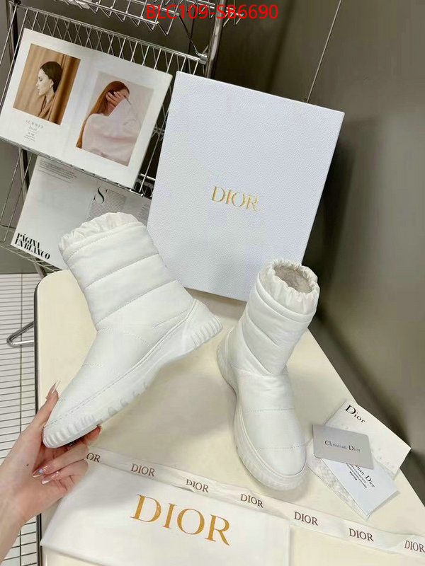 Women Shoes-Dior best site for replica ID: SB6690 $: 109USD