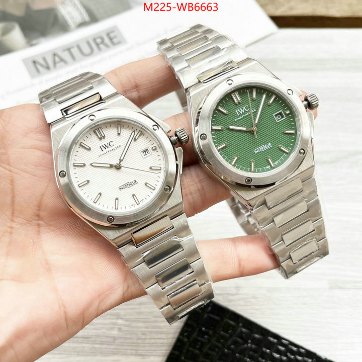 Watch(TOP)-IWC for sale cheap now ID: WB6663 $: 225USD