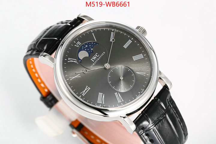 Watch(TOP)-IWC from china ID: WB6661 $: 519USD