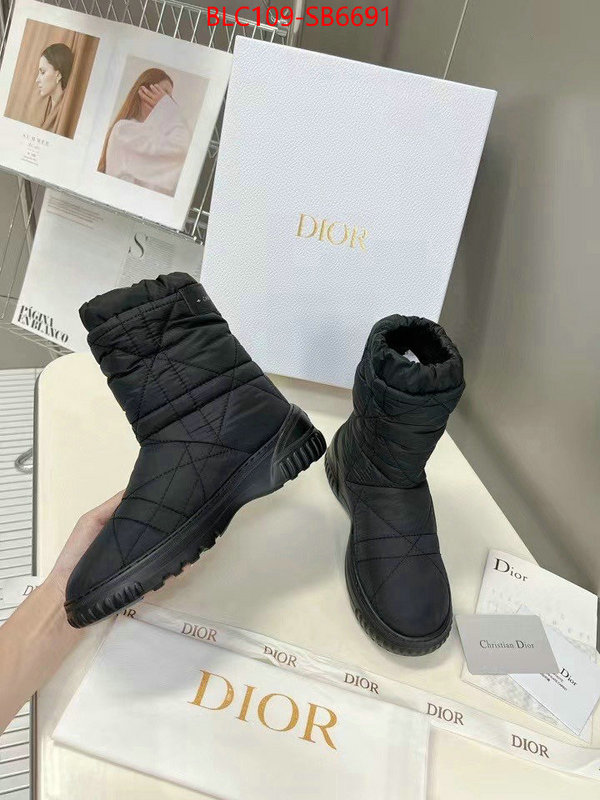 Women Shoes-Dior replica aaaaa designer ID: SB6691 $: 109USD