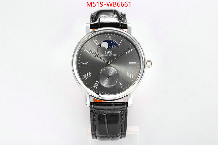 Watch(TOP)-IWC from china ID: WB6661 $: 519USD