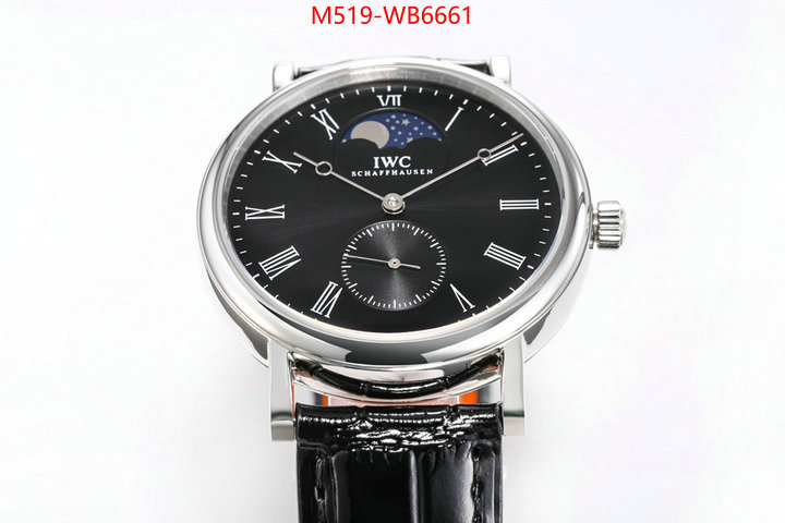 Watch(TOP)-IWC from china ID: WB6661 $: 519USD