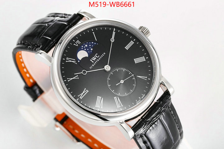 Watch(TOP)-IWC from china ID: WB6661 $: 519USD