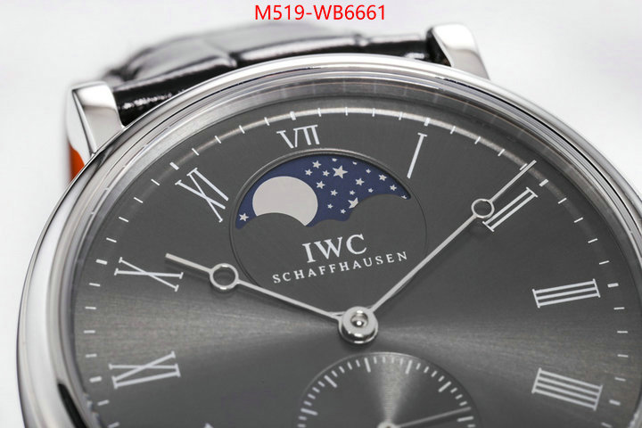 Watch(TOP)-IWC from china ID: WB6661 $: 519USD