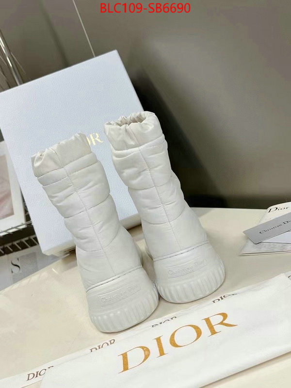 Women Shoes-Boots high quality replica ID: SB6690 $: 109USD