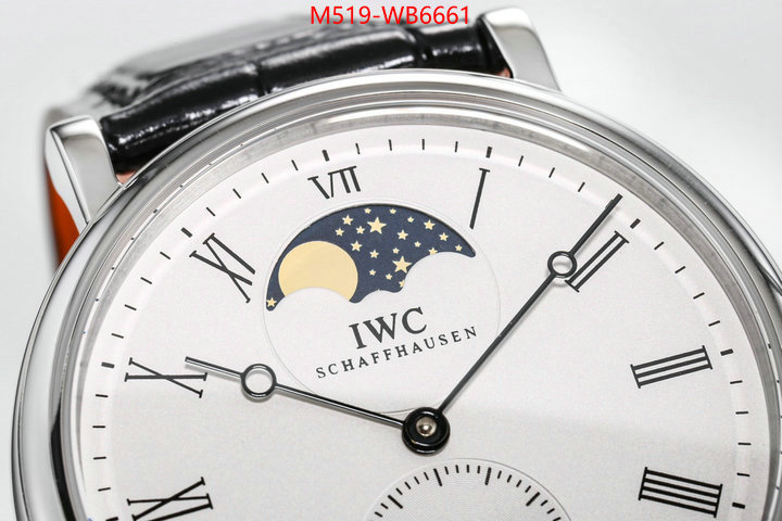 Watch(TOP)-IWC from china ID: WB6661 $: 519USD