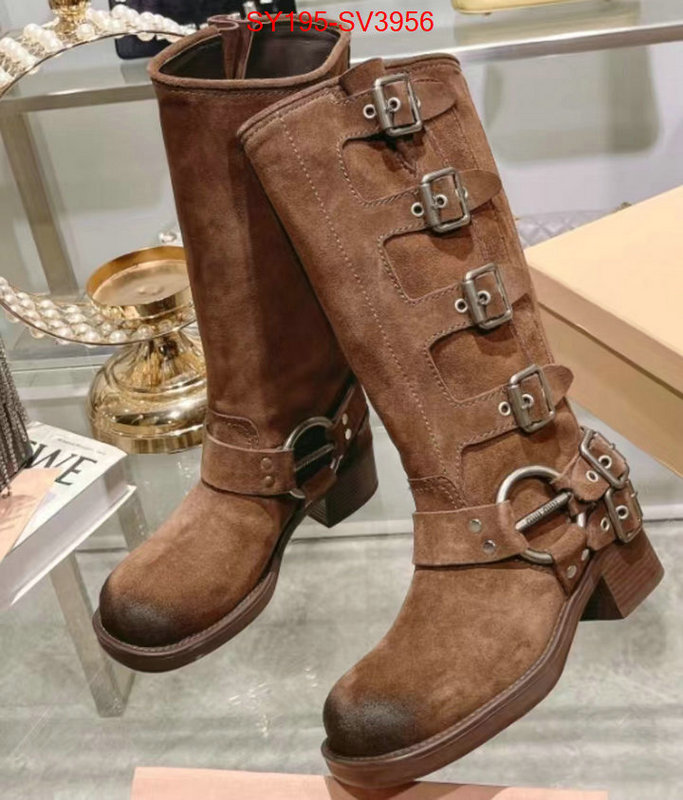 Women Shoes-Boots mirror quality ID: SV3956 $: 195USD