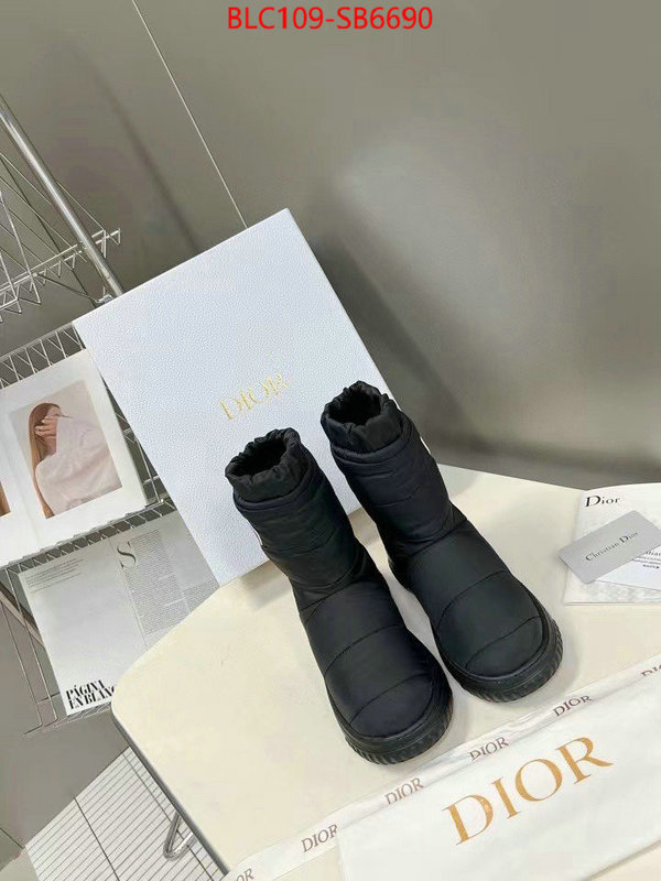 Women Shoes-Dior best site for replica ID: SB6690 $: 109USD