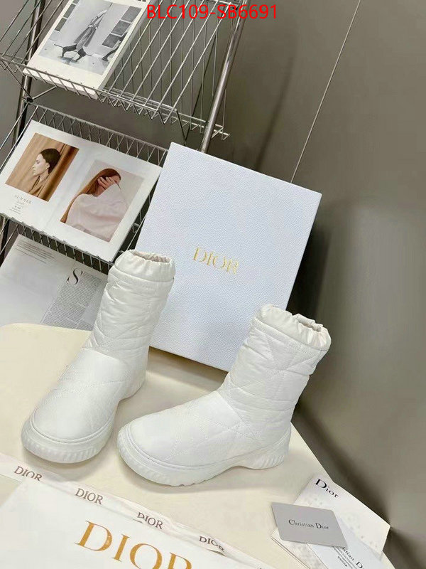 Women Shoes-Dior replica aaaaa designer ID: SB6691 $: 109USD