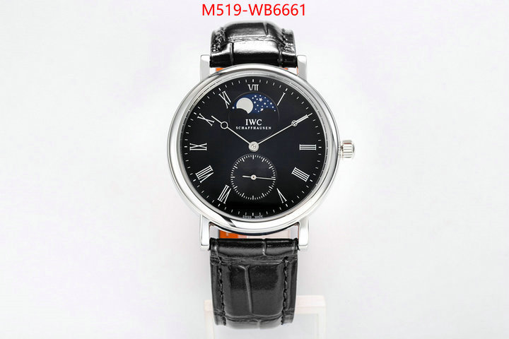 Watch(TOP)-IWC from china ID: WB6661 $: 519USD