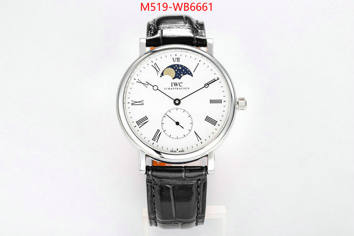 Watch(TOP)-IWC from china ID: WB6661 $: 519USD