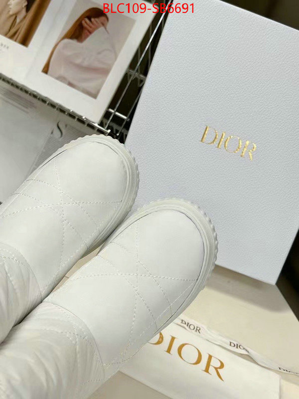 Women Shoes-Dior replica aaaaa designer ID: SB6691 $: 109USD