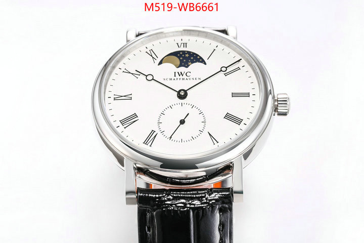 Watch(TOP)-IWC from china ID: WB6661 $: 519USD