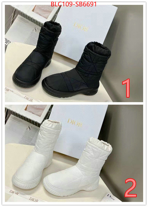 Women Shoes-Dior replica aaaaa designer ID: SB6691 $: 109USD