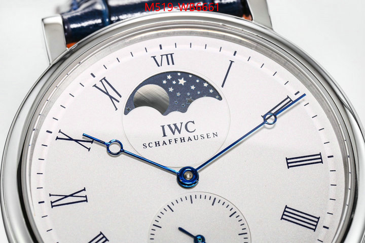 Watch(TOP)-IWC from china ID: WB6661 $: 519USD