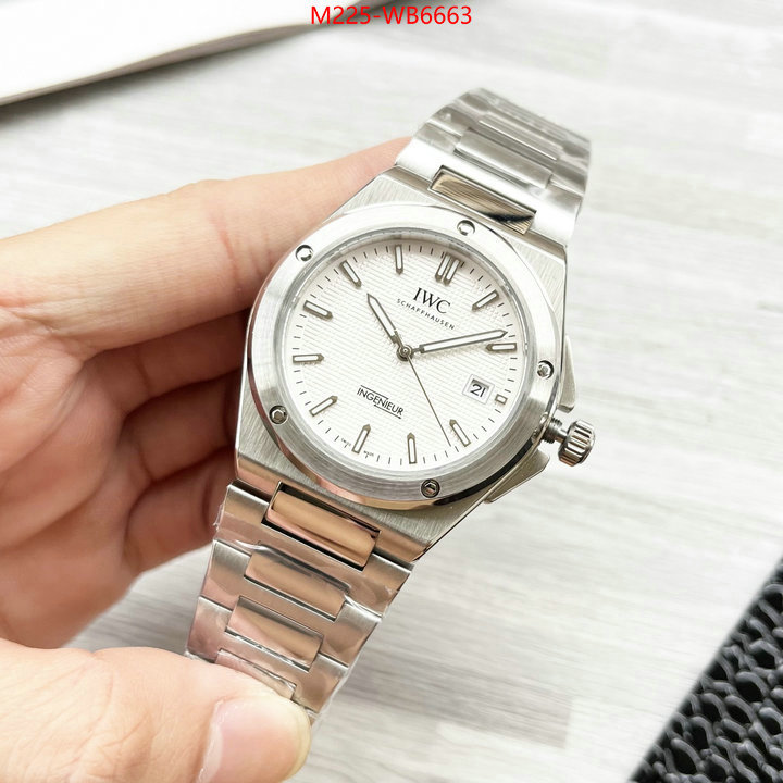 Watch(TOP)-IWC for sale cheap now ID: WB6663 $: 225USD