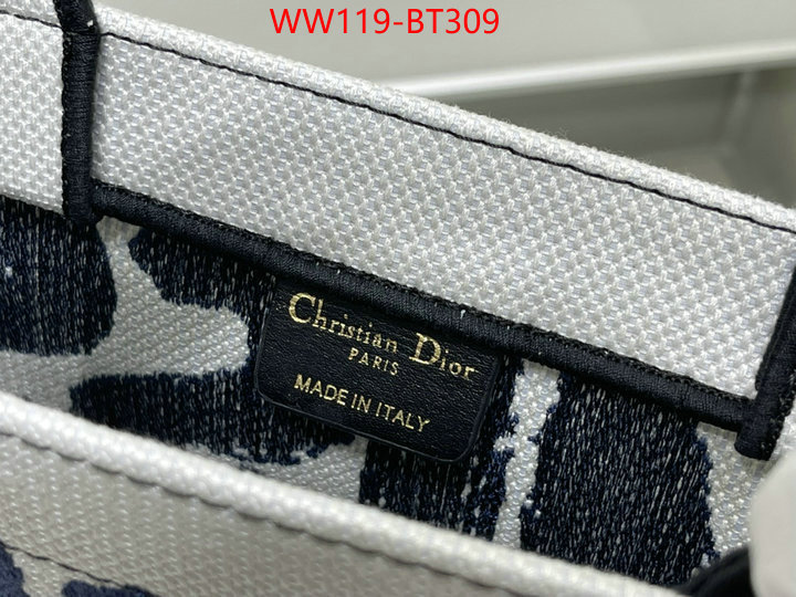 Dior Bags Big Sale ID: BT309