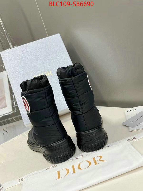 Women Shoes-Dior best site for replica ID: SB6690 $: 109USD