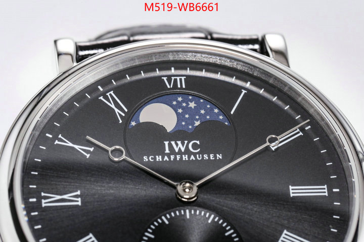 Watch(TOP)-IWC from china ID: WB6661 $: 519USD