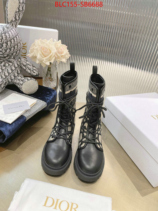 Women Shoes-Dior high quality replica ID: SB6688 $: 155USD