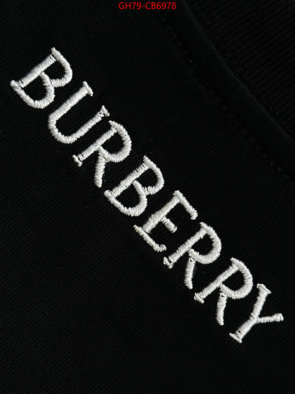 Clothing-Burberry best aaaaa ID: CB6978 $: 79USD