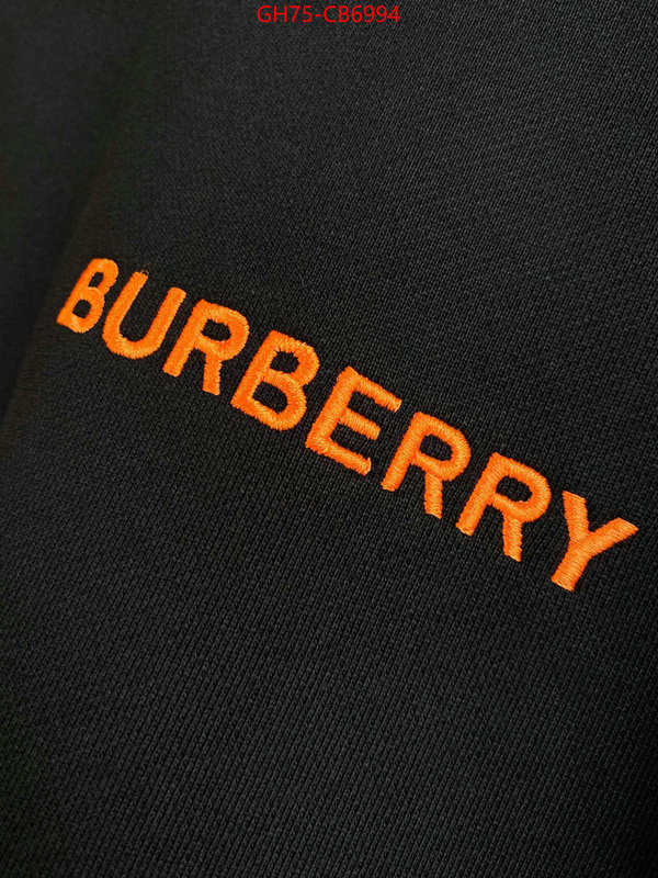 Clothing-Burberry wholesale china ID: CB6994 $: 75USD