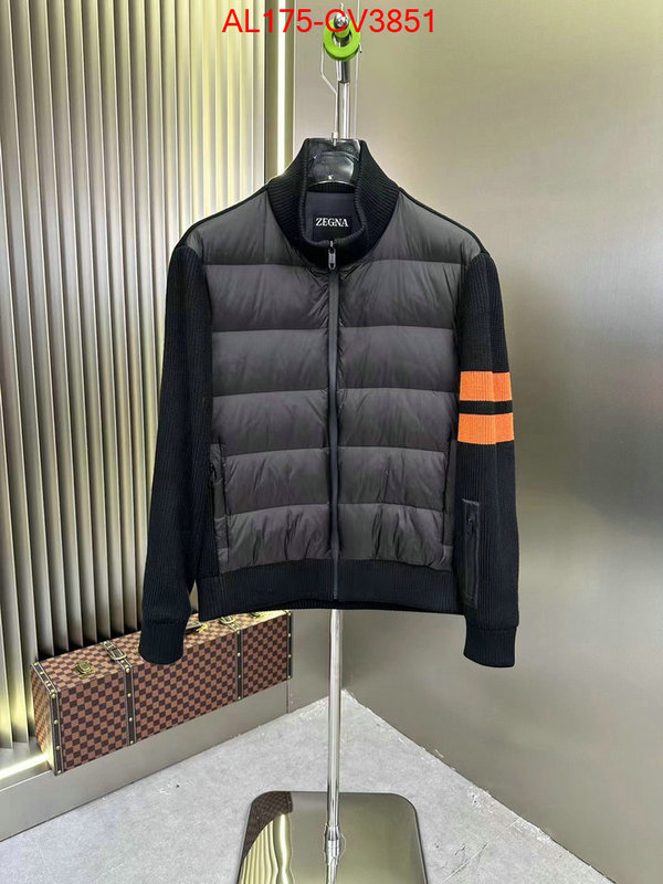 Down jacket Men-Zegna sellers online ID: CV3851 $: 175USD