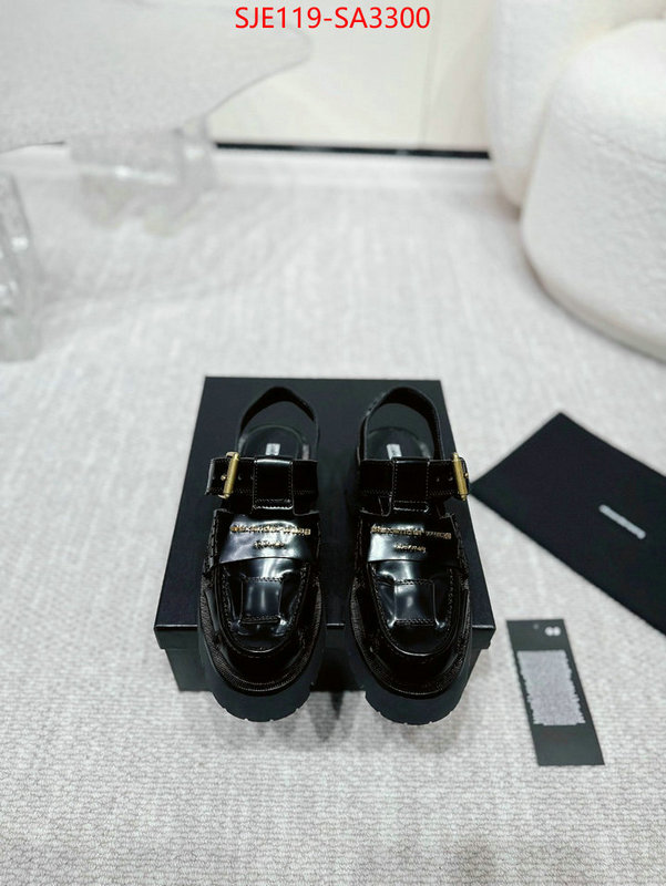 Women Shoes-Alexander Wang new 2024 ID: SA3300 $: 119USD