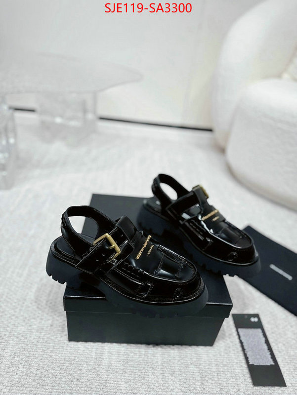 Women Shoes-Alexander Wang new 2024 ID: SA3300 $: 119USD