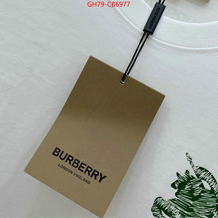 Clothing-Burberry store ID: CB6977 $: 79USD