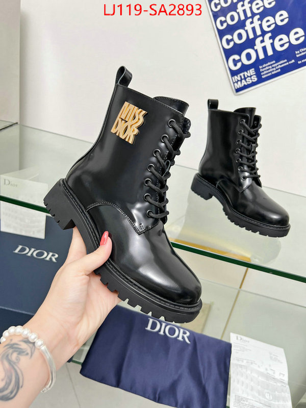 Women Shoes-Dior top quality replica ID: SA2893 $: 119USD