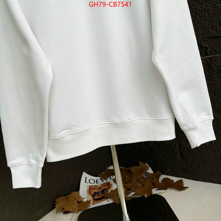 Clothing-Celine top quality website ID: CB7541 $: 79USD