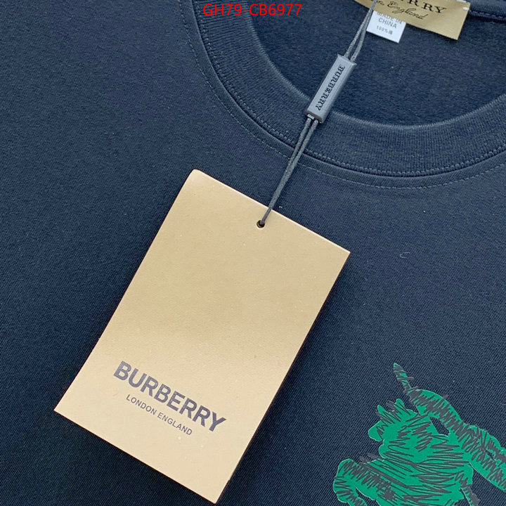 Clothing-Burberry store ID: CB6977 $: 79USD