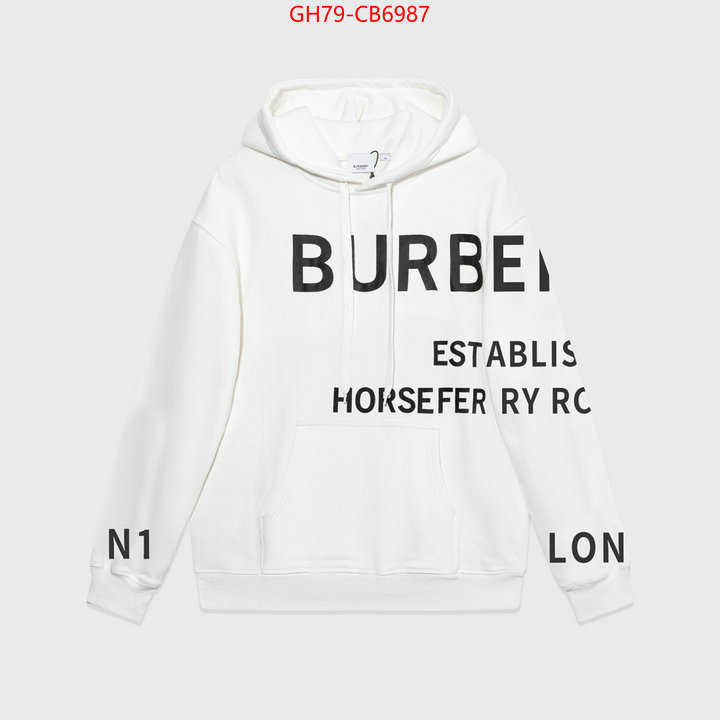 Clothing-Burberry designer fashion replica ID: CB6987 $: 79USD